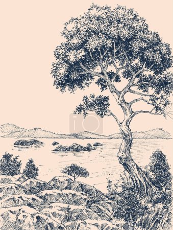 Téléchargez les illustrations : Olivier au bord de la mer, paysage méditerranéen dessin vectoriel - en licence libre de droit