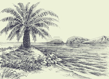 Téléchargez les photos : Palm tree on sea shore vector hand drawing - en image libre de droit