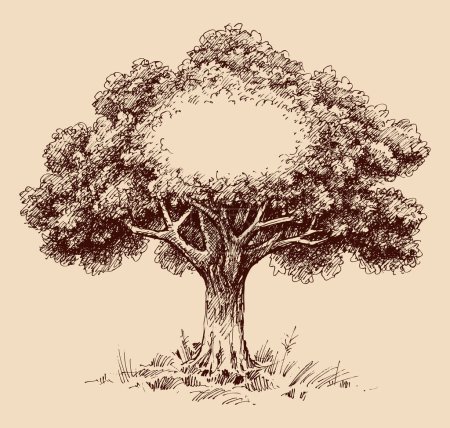 Ilustración de Marco de árbol para etiquetas, cubiertas, espacio para el dibujo manual de vectores de texto - Imagen libre de derechos