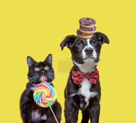 Foto de Lindo cachorro y gatito comer bocadillos - Imagen libre de derechos