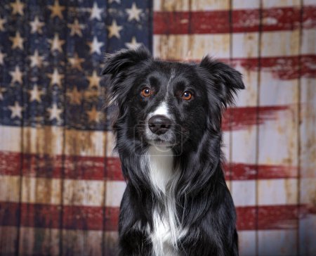Photo for Cute dog on an American flag patriotic background - Royalty Free Image