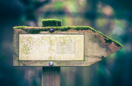 Photo for Wooden direction sign in the forest with moss for right direction - Royalty Free Image