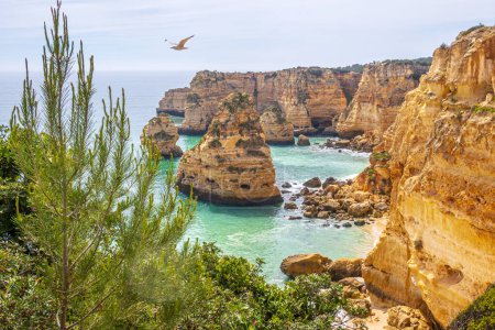 Photo for Cliffs and ocean, Praia da Marinha near Benagil, Algarve, Portugal - Royalty Free Image