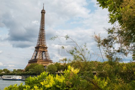 Foto de Torre Eiffel vista desde las orillas con marco de vegetación y árboles - Imagen libre de derechos