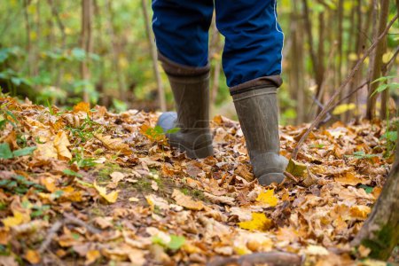 Foto de Persona en botas de goma verde caminando en el bosque de otoño en el día nublado de octubre, primer plano con enfoque selectivo, vista trasera. - Imagen libre de derechos