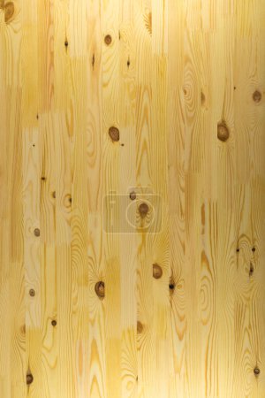 plancher de bois franc planche solide carton collé, fond plein cadre et texture.