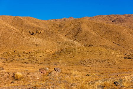 Kirgisische Landschaft mit einem Gebirge, das sich vor einem klaren blauen Himmel erhebt. Die ausgetrockneten Wiesen und sanften Hänge schaffen einen natürlichen Horizont