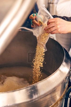 Foto de Cervecera que trabaja en una pequeña cervecería, vertiendo grano malteado en el fermentador para producir cerveza - Imagen libre de derechos