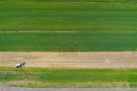 Photo for Aerial view of tractor on harvest field, drone shot - Royalty Free Image