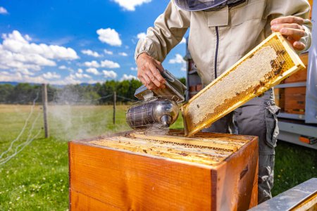 Téléchargez les photos : Apiculteur inspectant une ruche tout en portant une combinaison de protection. - en image libre de droit