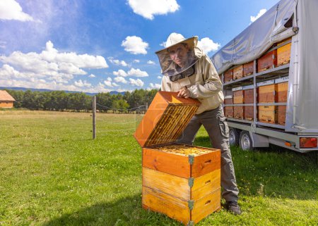 Téléchargez les photos : Fermier portant un costume d'abeille travaillant avec nid d'abeille dans le rucher. - en image libre de droit