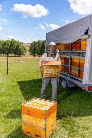 Téléchargez les photos : L'apiculteur tient une cellule de miel avec des abeilles dans ses mains. L'apiculture. Apiaire - en image libre de droit