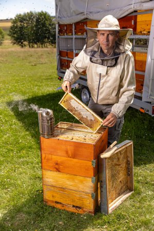 Téléchargez les photos : Portrait d'apiculteur tenant un rayon de miel plein d'abeilles. - en image libre de droit