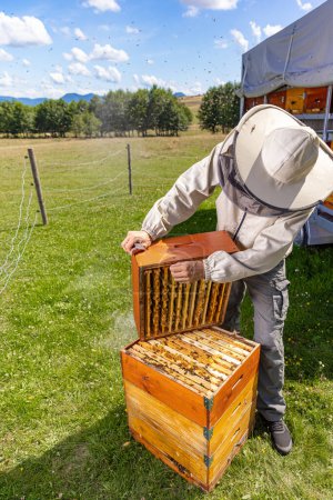 Téléchargez les photos : Apiculteur tenant le cadre de la ruche rempli de miel - en image libre de droit