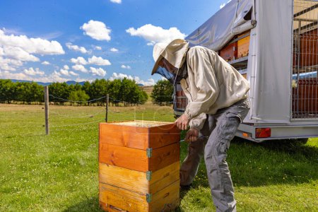 Téléchargez les photos : Apiculteur inspectant une ruche tout en portant une combinaison de protection. - en image libre de droit