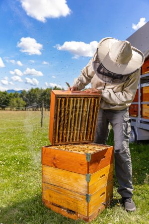 Téléchargez les photos : Apiculteur enlevant les rayons de miel de la ruche. L'apiculture à la campagne. - en image libre de droit