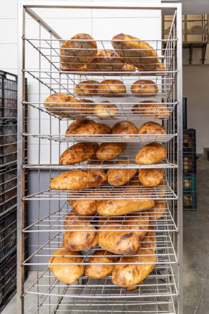 Photo for Storage and transport of freshly baked loaves of bread in a bakery for sale. Industrial food production - Royalty Free Image
