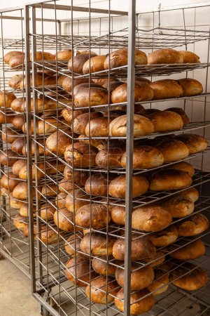 Photo for Lot of ready made fresh bread in a bakery on metal shelves - Royalty Free Image