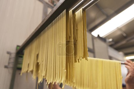 Close-up of homemade tagliatelle pasta hanging to dry