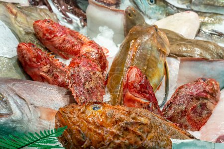 Photo for Red mullet and other fish for sale at a market in Barcelona, Spain - Royalty Free Image