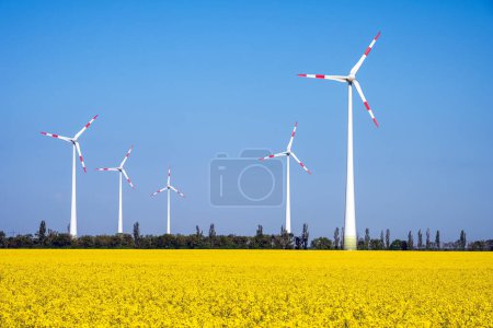 Wind turbines in a flowering rapeseed field seen in Germany