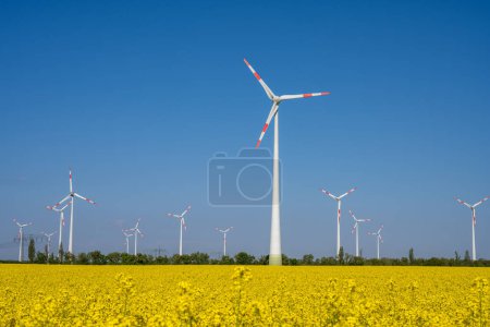 Wind turbines in a flowering canola field seen in Germany