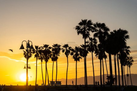 Photo for Venice Beach in Los Angeles before sunset - Royalty Free Image