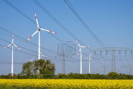 Power lines and wind turbines in a blooming canola field