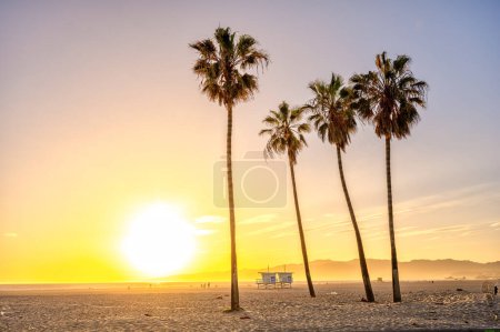 Venice Beach in Los Angeles just before sunset