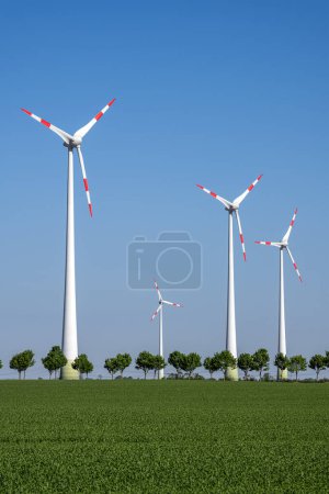 turbinas
