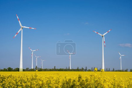 Wind turbines and a field of flowering rapeseed seen in Germany