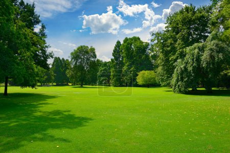 Photo for Beautiful meadow with green grass in large public park. - Royalty Free Image