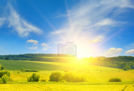 Photo for Beautiful sunrise over a field of wheat - Royalty Free Image