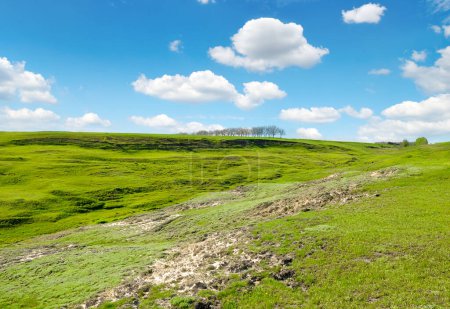 Téléchargez les photos : Large ravine on agricultural land. Soil erosion. - en image libre de droit