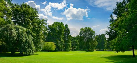 Téléchargez les photos : Beautiful meadow with green grass in large public park. - en image libre de droit