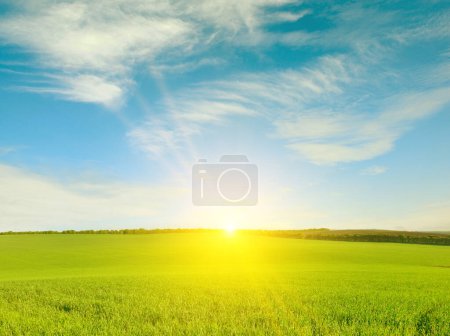 Photo for Dawn over green wheat field and blue sky. - Royalty Free Image