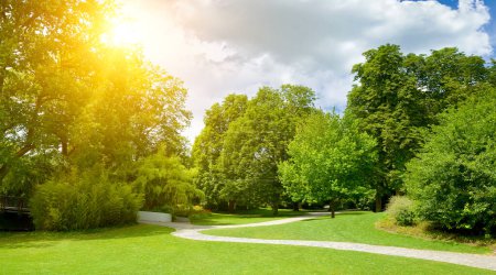 Téléchargez les photos : Lever de soleil dans le magnifique parc - en image libre de droit