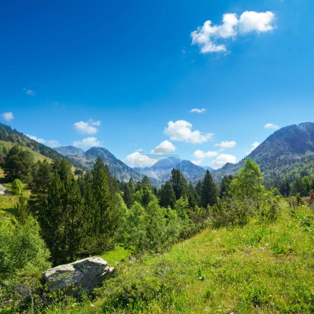 Téléchargez les photos : Paysage de montagne avec herbe verte et fleurs. Andorre, Pyrénées
. - en image libre de droit