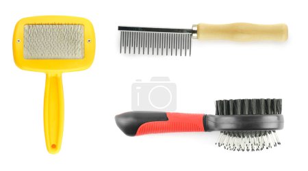 Photo for Combs for cats and dogs isolated on white background. - Royalty Free Image