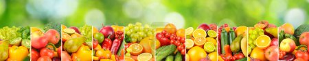 Foto de Fondo natural de verduras y frutas separadas por líneas verticales. Sobre fondo verde. - Imagen libre de derechos