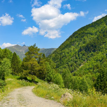 Téléchargez les photos : Sentier rocheux dans les montagnes couvertes de forêt et ciel bleu vif. - en image libre de droit