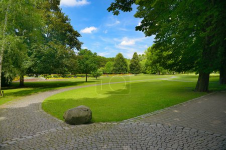 Foto de Parque de verano con prado verde en sol brillante - Imagen libre de derechos