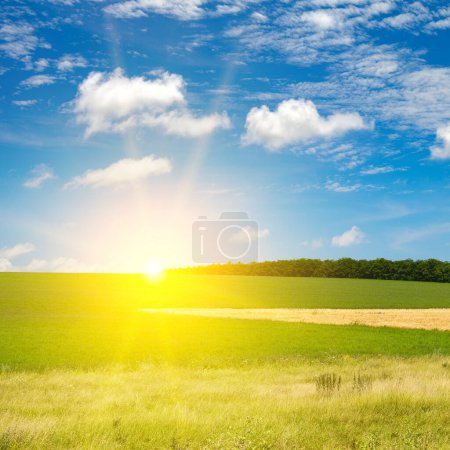 Foto de Puesta de sol brillante en el campo de primavera verde - Imagen libre de derechos