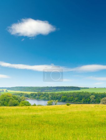 Foto de Pasto de verano brillante con hierba fresca y cielo azul - Imagen libre de derechos
