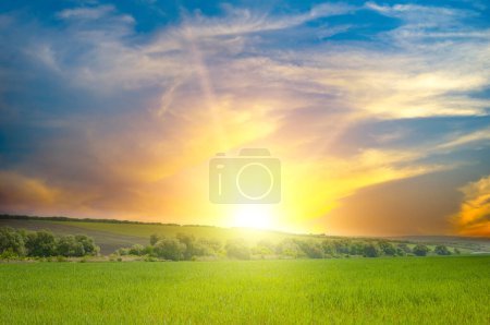 Foto de Hermoso amanecer sobre el campo verde. Cielo azul y nubes blancas. - Imagen libre de derechos