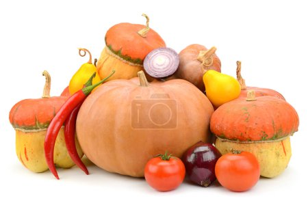 Foto de Hermosa composición de varias calabazas y otras verduras aisladas sobre fondo blanco. - Imagen libre de derechos