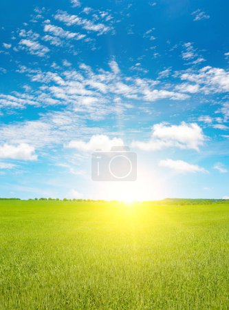 Foto de Fantástico cielo brillante sobre campo de granja verde. - Imagen libre de derechos