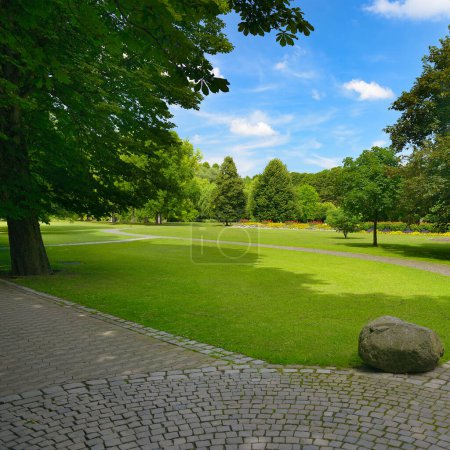 Foto de Parque de verano con prado verde en sol brillante - Imagen libre de derechos