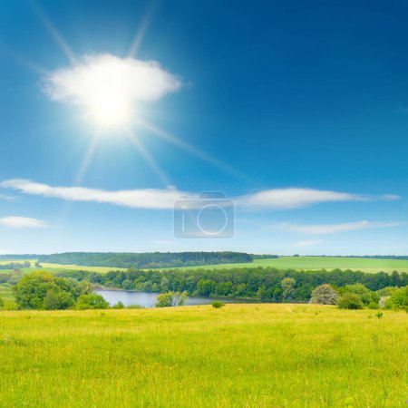 Foto de Pasto de verano brillante con hierba fresca y cielo azul con sol. - Imagen libre de derechos