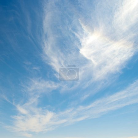 Foto de Cielo azul y nubes de cirros blancos
. - Imagen libre de derechos